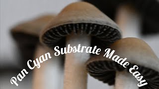 Pan Cyan Substrate Made Easy [upl. by Macnamara]