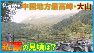 【見頃は？】紅葉の人気スポット中国地方最高峰・大山 夏の猛暑の影響で”葉焼け”の箇所も… 鳥取県 [upl. by Leesa]