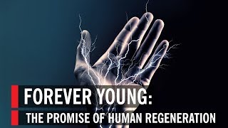 The Promise of Human Regeneration Forever Young [upl. by Leinahtan]