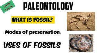 what is paleontology All basic concepts related to fossil [upl. by Ennyroc]