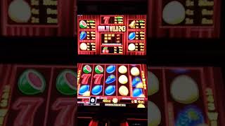 MULTI WILD 243 Spins auf 450€ Merkur Magie Casino [upl. by Anelaj]