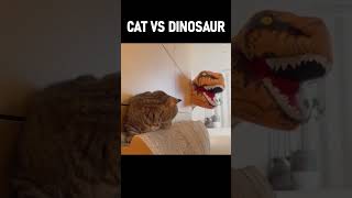 CAT vs DINOSAUR Cats Dinosaur Kittisaurus [upl. by Hardigg485]