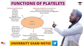 Functions of Platelets  Blood Physiology  MBBS  BDS  BMLT  DMLT  Nursing lecturers [upl. by Dane]