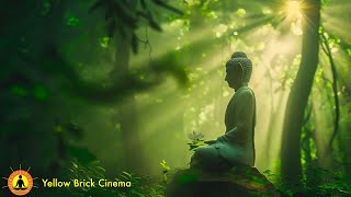 12 HOURS Relaxing Music Healing Music Meditation Music Stress Relief Music Tranquil Bird Sounds [upl. by Ludwigg]