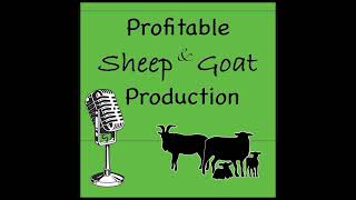 Episode 24  Getting Started with Sheep amp Goats Things to Consider [upl. by Elatsyrc]