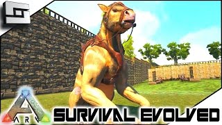 ARK Survival Evolved  CHALICOTHERIUM TAMING S4E55  The Center Map Gameplay [upl. by Llenrac474]