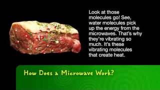 Bayer MSMS  How Does a Microwave Work [upl. by Nerraw]