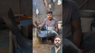 Amazing Big 16kg Katla Fish Cutting Skills shortvideo fishcutting rohufishcuttingskills rrrm [upl. by Vinaya]