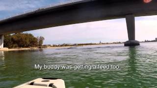 Mandurah Estuary [upl. by Sletten]