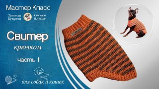 Свитер крючком для собак и кошек часть 1 [upl. by Dulce]