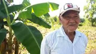 el agricultor don felix [upl. by Airekahs]