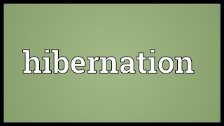 Hibernation Meaning [upl. by Ahsietal]