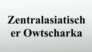 Zentralasiatischer Owtscharka [upl. by Ojiram]