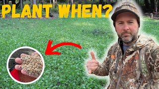 Most Important Fall Food Plot Planting Video To WATCH [upl. by Alikam899]