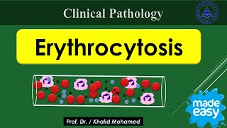 Vet Hematology Lecture 4 Erythrocytosis Polycythemia made easy [upl. by Quintie]