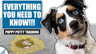 Your COMPLETE Guide To Puppy Potty Training [upl. by Awuhsoj]