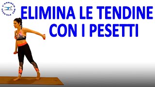 braccia a tendina esercizi con pesi pilates [upl. by Thera]