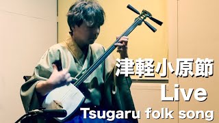 津軽小原節Live Tsugaru Ohara BushiTraditional folk song【青森県民謡】 [upl. by Maltz]