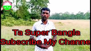 🙏Amar Laber Maje Ki Lab Holo Golate Kolonker Dhul  Ta Super Bangla Song🎸🎻🪕 [upl. by Ahsienaj284]