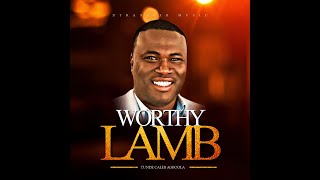 Worthy Lamb Official Lyric Video [upl. by Lasley607]