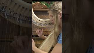 Planxty Irwin Celtic Harp shorts harp celticharp irishmusic irishtune [upl. by Garlen511]