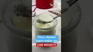 Lose weight with L Reuteri yogurt from Dr Davis make yogurt at home  reverse diabetes [upl. by Varhol]