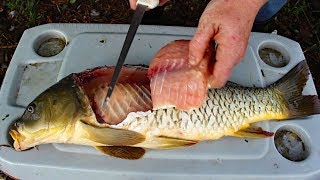 Catch and Cook Carp  How to cook carp  carp fishing tips amp carp recipe [upl. by Crean652]