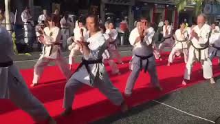 Wongsdojo Kata demonstration  Guinness world record event 2016 [upl. by Fabrice]