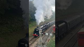 Camelot leaving Horsted Keynes 🚂📸 trains bluebellrailway steamgala steamlocomotives [upl. by Yggam646]