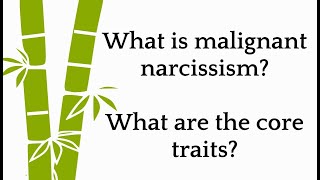 What is malignant narcissism [upl. by Cesar316]