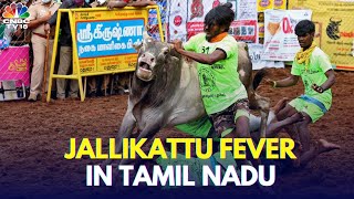 Tamil Nadu ThreeDay BullTaming Sport Jallikattu Begins In Madurai  Avaniyapuram Jallikattu N18V [upl. by Griggs]