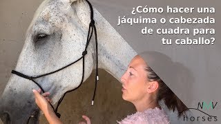 🐴Cómo hacer una jáquima o cabezada de cuadra para caballo🐴 [upl. by Ekyt]