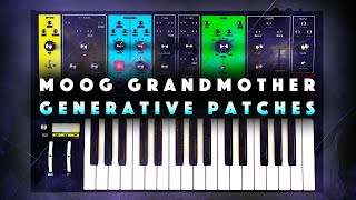 Moog Grandmother Patches Generative Seqs amp Complex Arps [upl. by Jael]