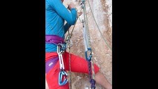 51 Pulley System with a Petzl Reverso [upl. by Little]