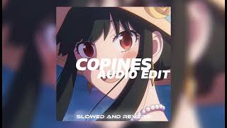 Copines  audio edit  slowed and reverb [upl. by Nered421]