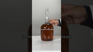 FRENCH TOAST MEAD UPDATE [upl. by Aihsel914]