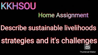 Describe the sustainable livelihood strategies and its challengesKKHSOUHOME ASSIGNMENT [upl. by Almeria811]