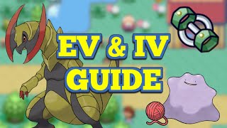 What are EVs and IVs  Pokemon [upl. by Yruj551]