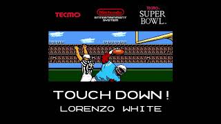 Classic Game Play Tecmo Super Bowl [upl. by Ahsimot]