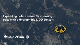 Webinar Expanding Spotter’s subsurface sensing suite with a Hydrophone and Dissolved Oxygen Sensor [upl. by Haran]