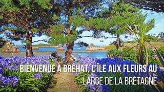 Bréhat l’ile aux fleurs de Bretagne – Incontournable 47 [upl. by Sokil]