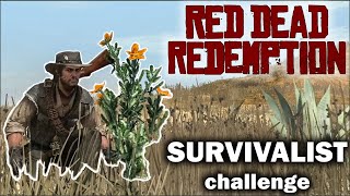 A guide to the SURVIVALIST Challenge in Red Dead Redemption [upl. by Arada]