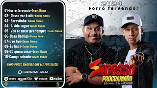 Sucesso Programado  Forró Fervendo  CD Completo 2024 [upl. by Eylloh]