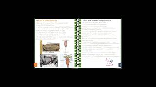 04 veterinary myology general basic anatomy part 1  2 [upl. by Mcallister]