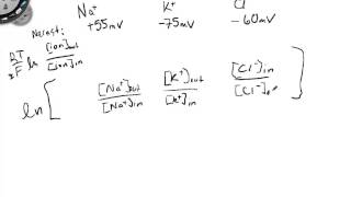 Constant Field Equation [upl. by Rolecnahc272]