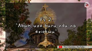 Noriri Diaso lyrics Igbo Catholic Hymns [upl. by Einallem596]