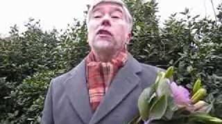 short funny rhyming poem  The Fatal Funeral of Uncle Ray [upl. by Clough612]