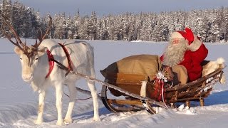 Les meilleurs messages du Père Noël aux enfants 😍🎅 vidéo Papa Noël à Rovaniemi en Laponie Finlande [upl. by Ahsoek]