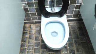 Bathroom Tour BLUE American Standard Toilet Le Chateau Village Frontenac missouri [upl. by Namurt760]