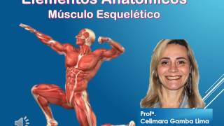 Componentes Anatômicos do musculo esqueletico [upl. by Serica]